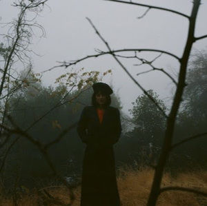 Meet your Posher, Krim